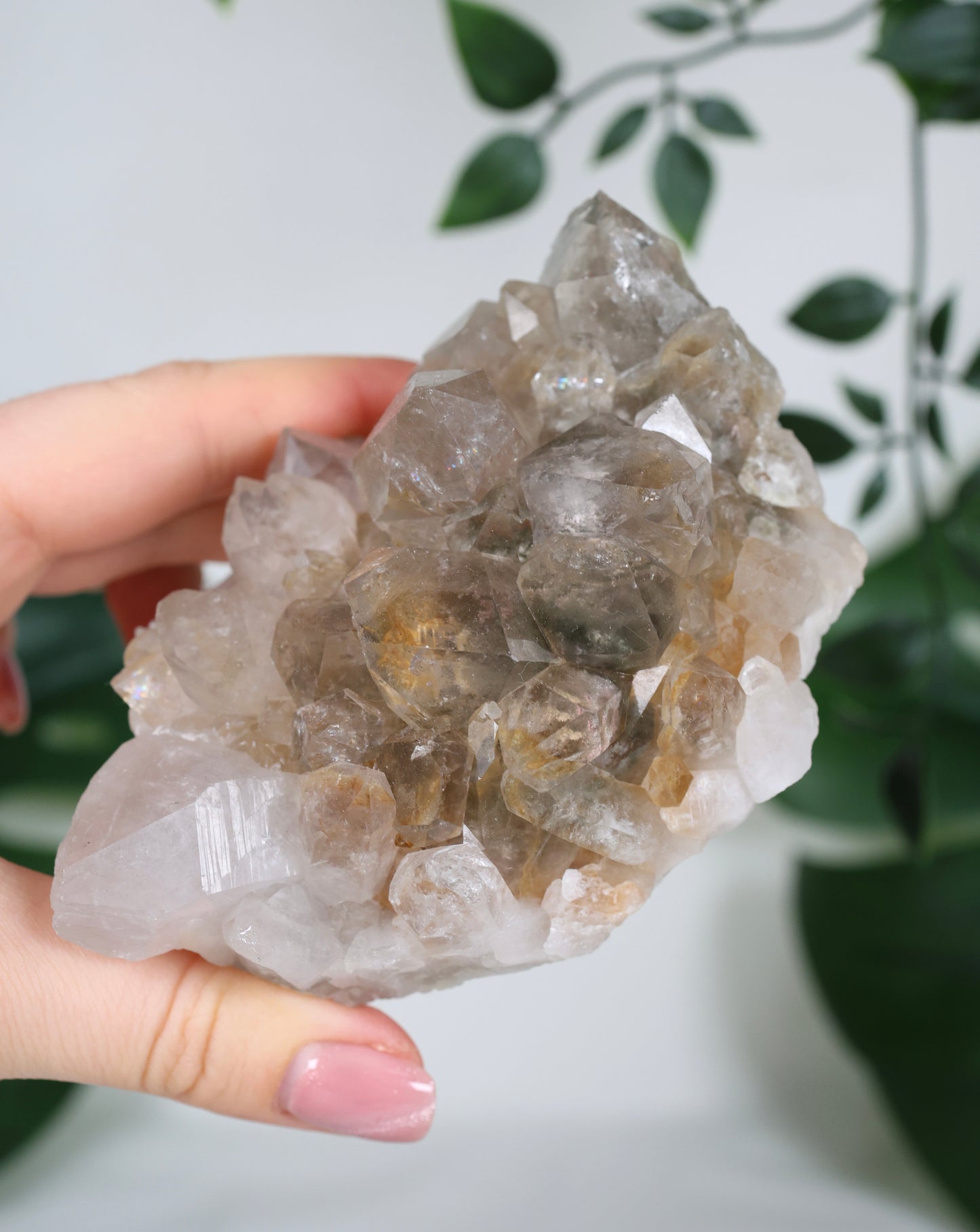 Gartenquarz Cluster Nr.168GQ