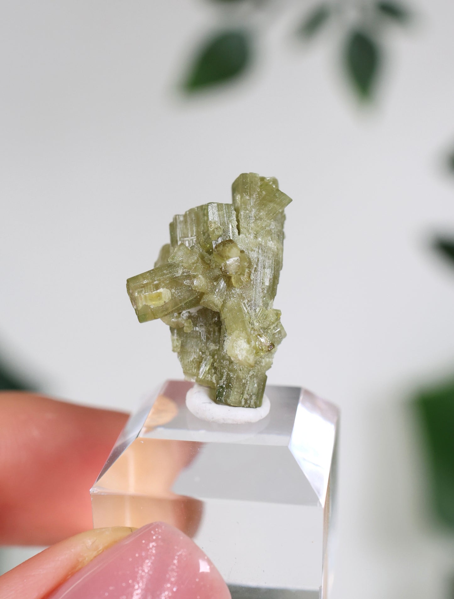 Grüner Turmalin XS - Auswahl