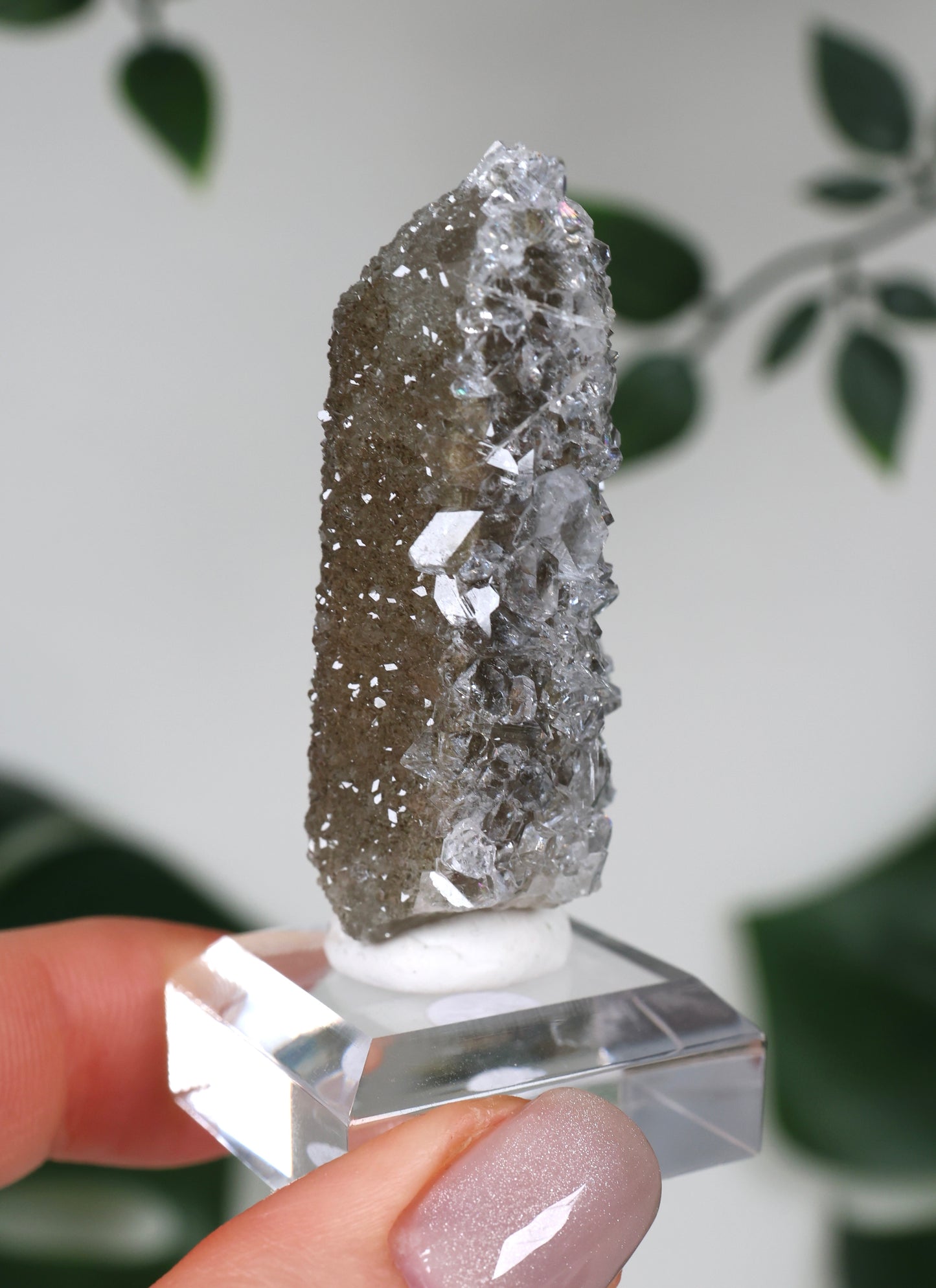 Apophyllit x Quarz x Chlorit Nr.104QA