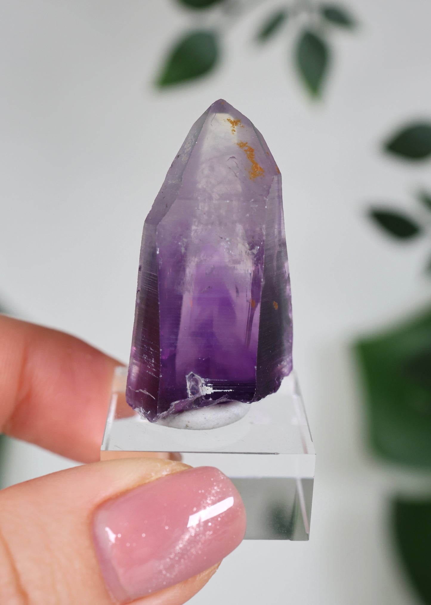 Guerrero Amethyst Nr.35GA