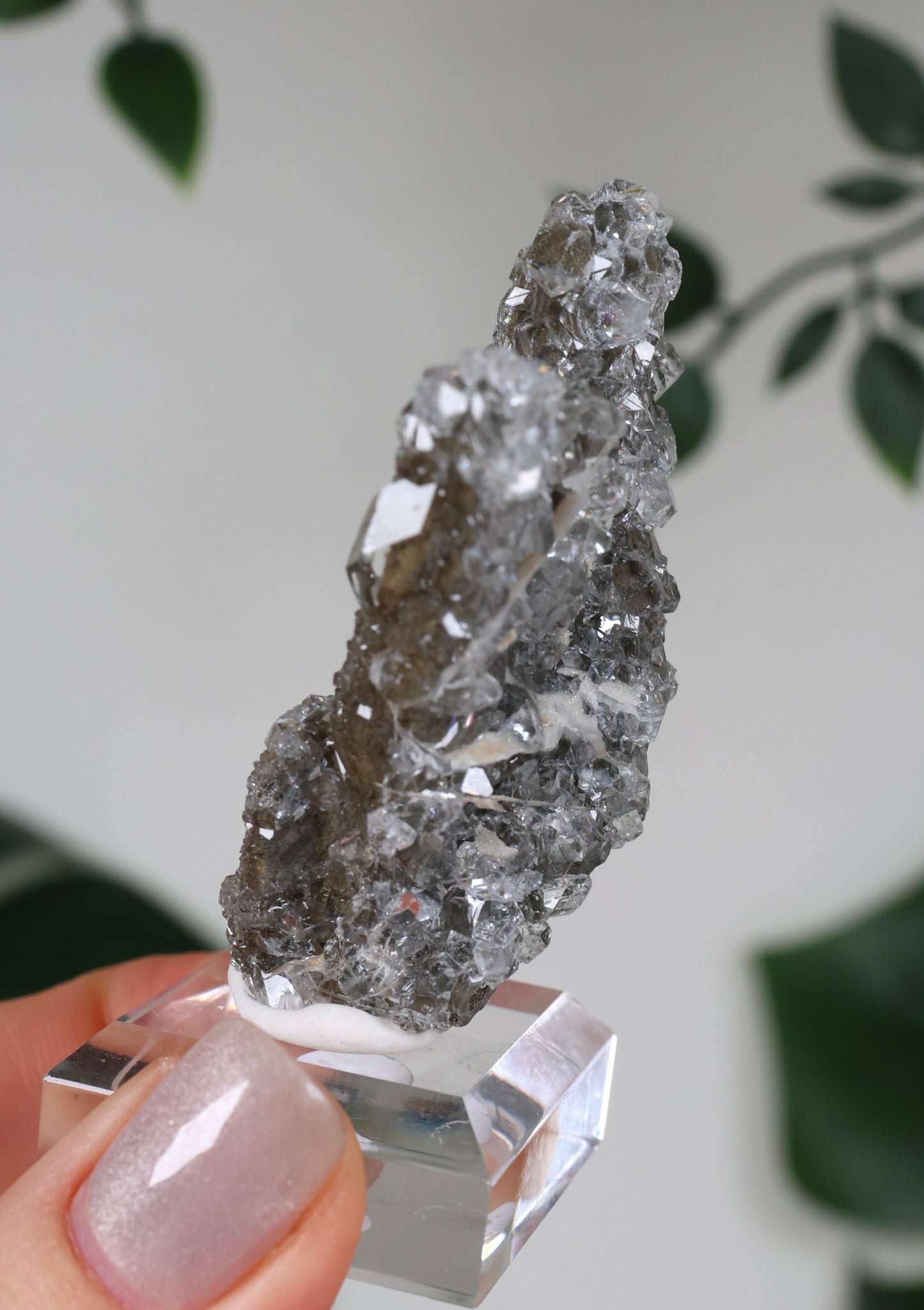 Apophyllit x Quarz x Chlorit Nr.111Q1