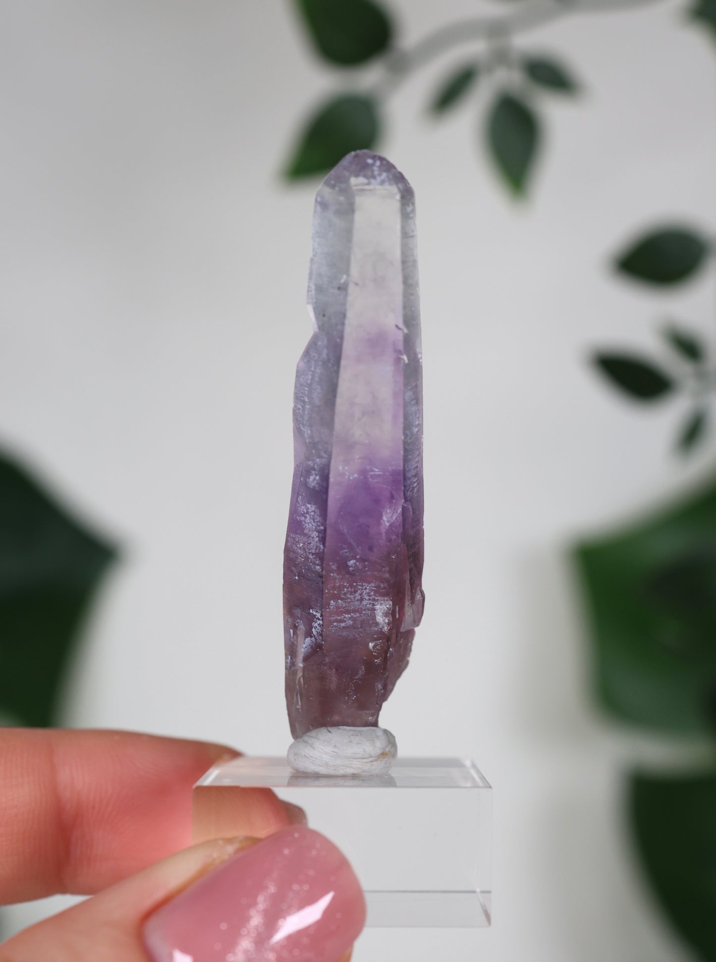 Guerrero Amethyst Oldstock XS - Auswahl