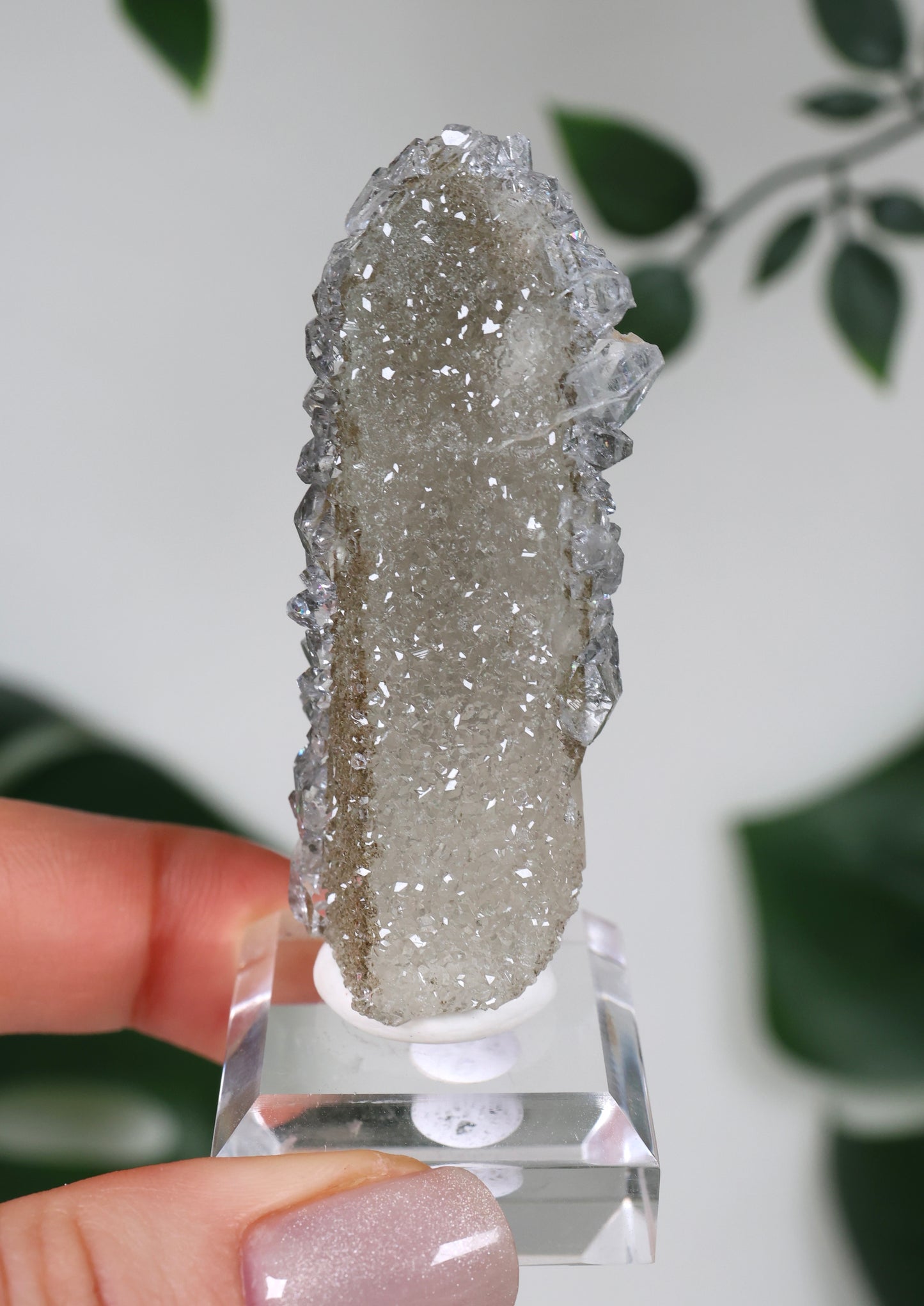 Apophyllit x Quarz x Chlorit Nr.118QA