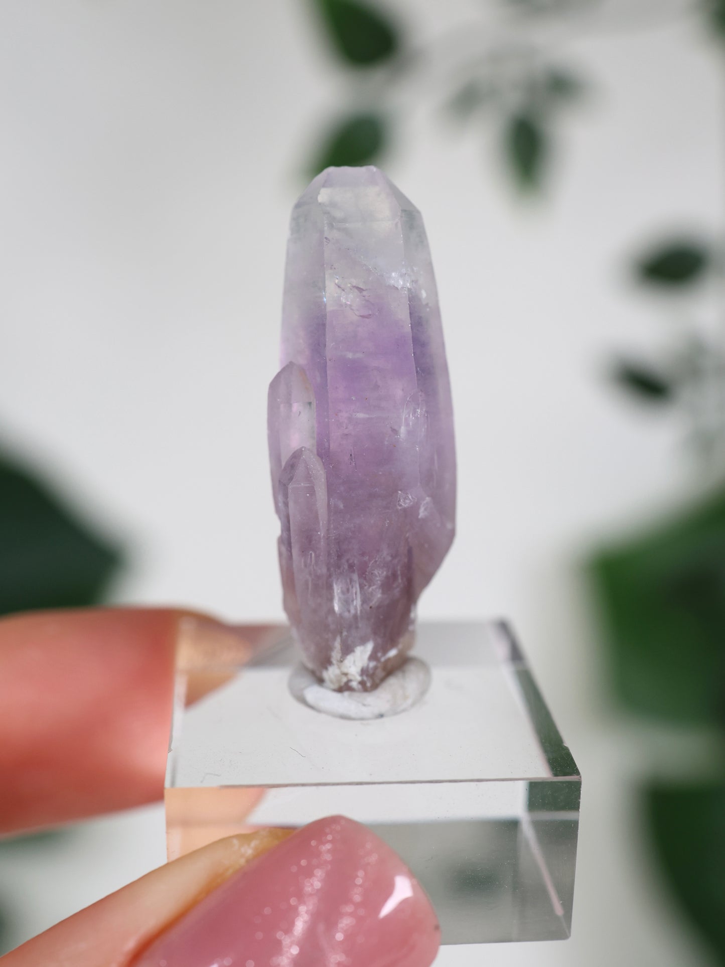 Guerrero Amethyst Oldstock XS - Auswahl