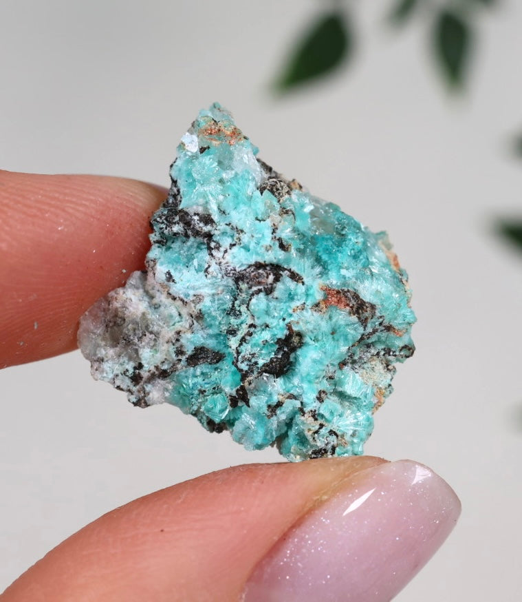 Aurichalcite - Auswahl