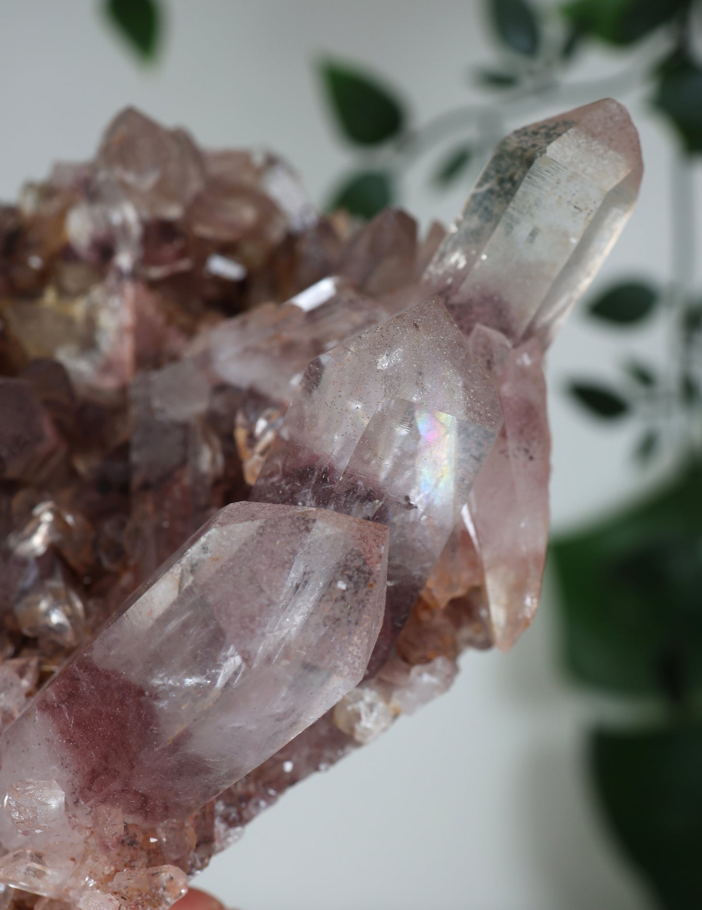 Sunset Quarz Nr.304SQ