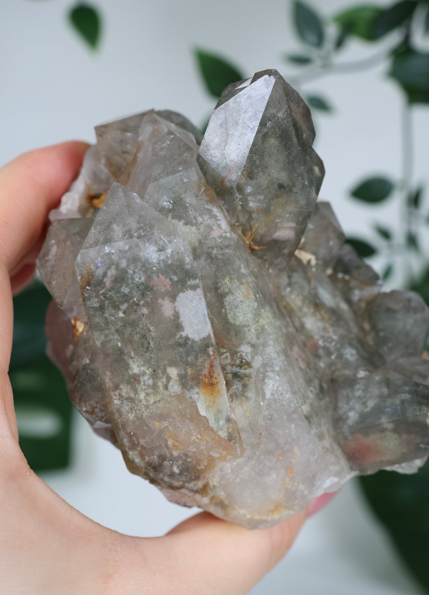 Gartenquarz x Rutil Cluster Nr.245GR