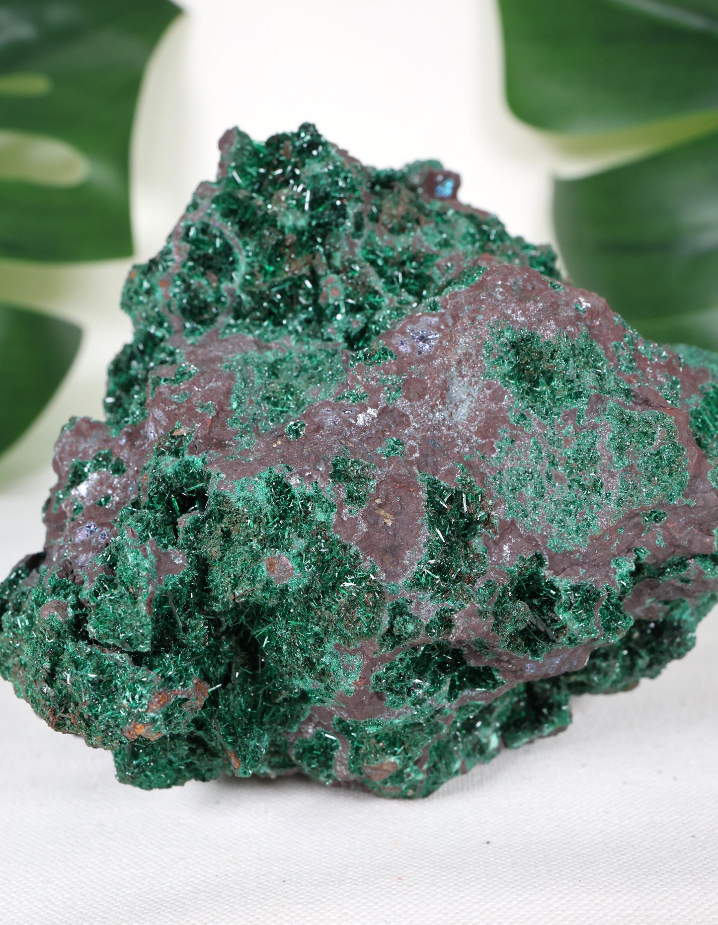 Brochantit x Bornit Nr.295BC