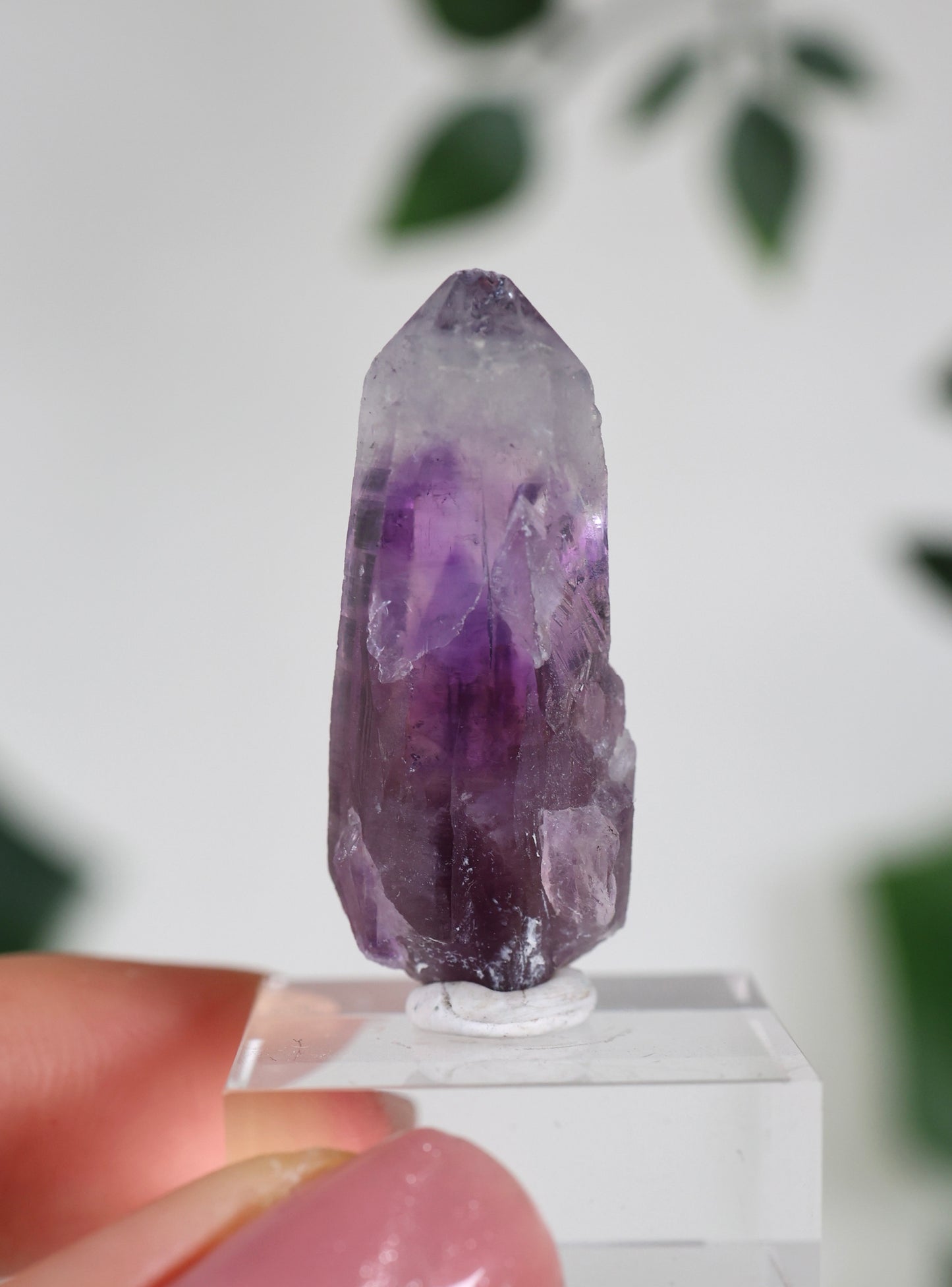 Guerrero Amethyst Oldstock S- Auswahl