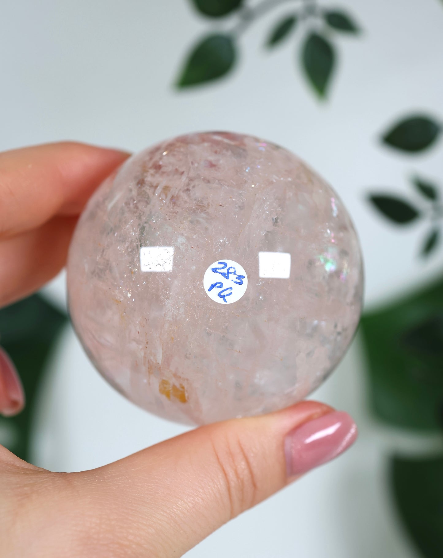 Pink Quarz Kugel Nr.283PQ