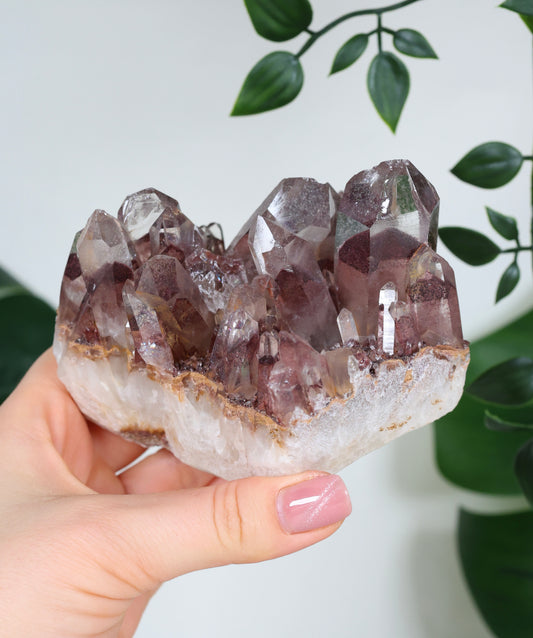 Sunset Quarz Nr.298SQ