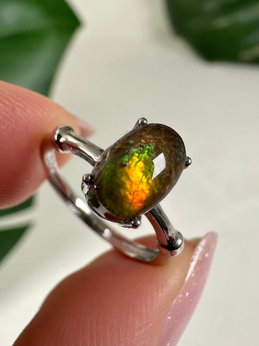 Ammolit Ring in 925 Silber Nr.49A4