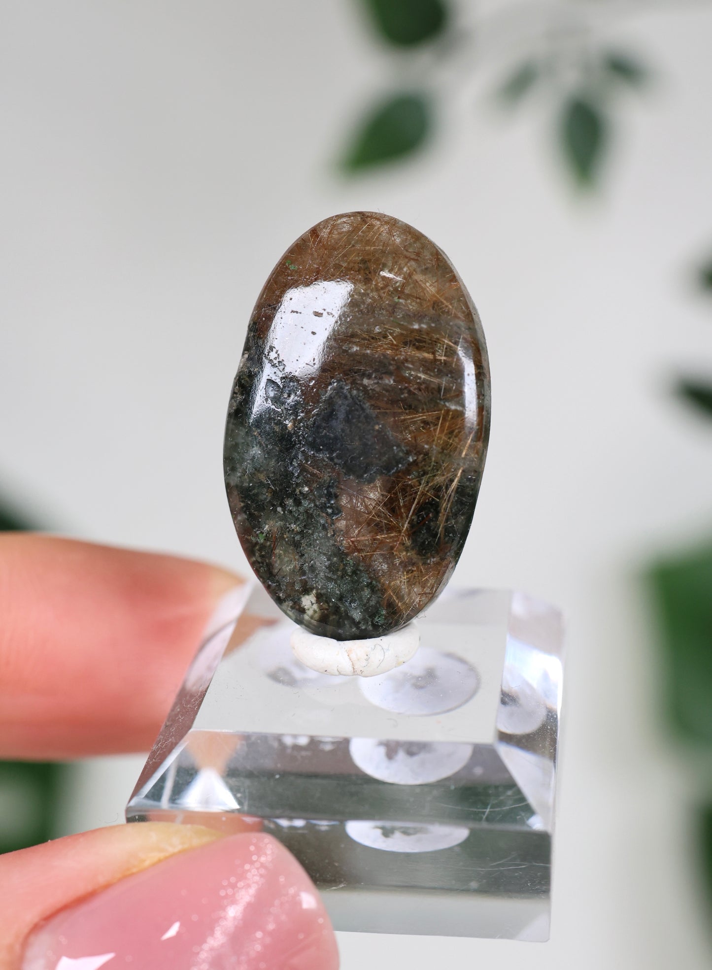 Himalaya Quarz x Chlorit x Rutil Cabochon - Auswahl