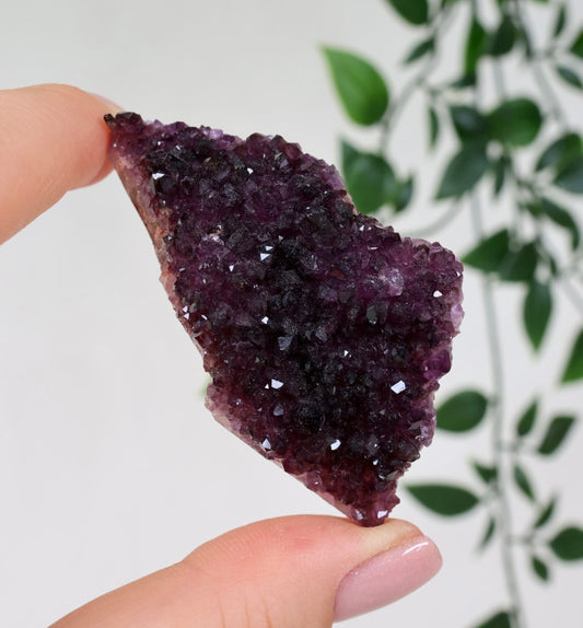 Alacam Amethyst Nr.14AC