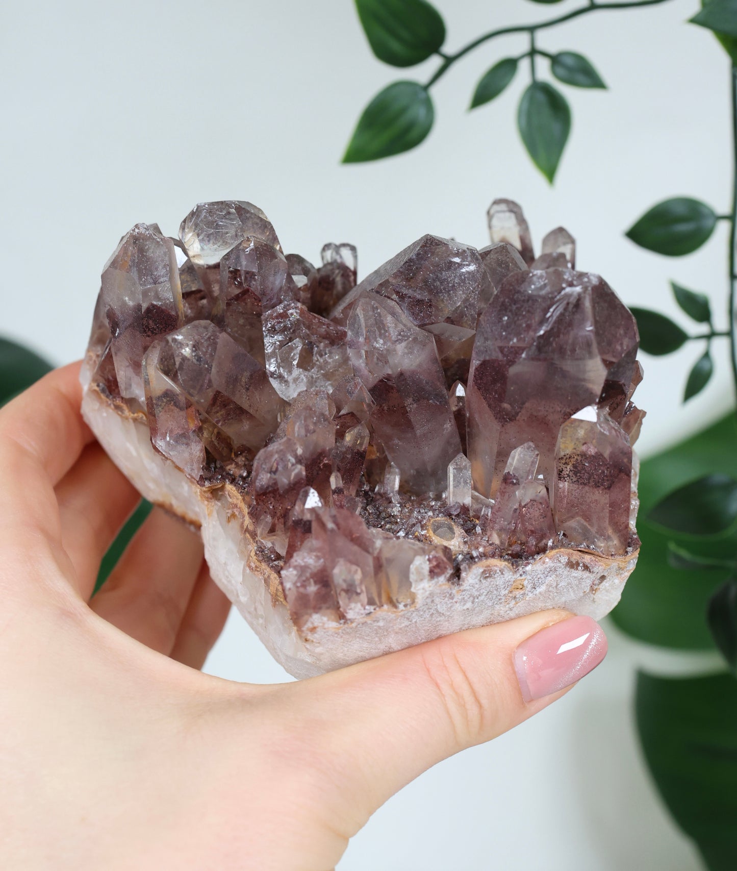 Sunset Quarz Nr.298SQ