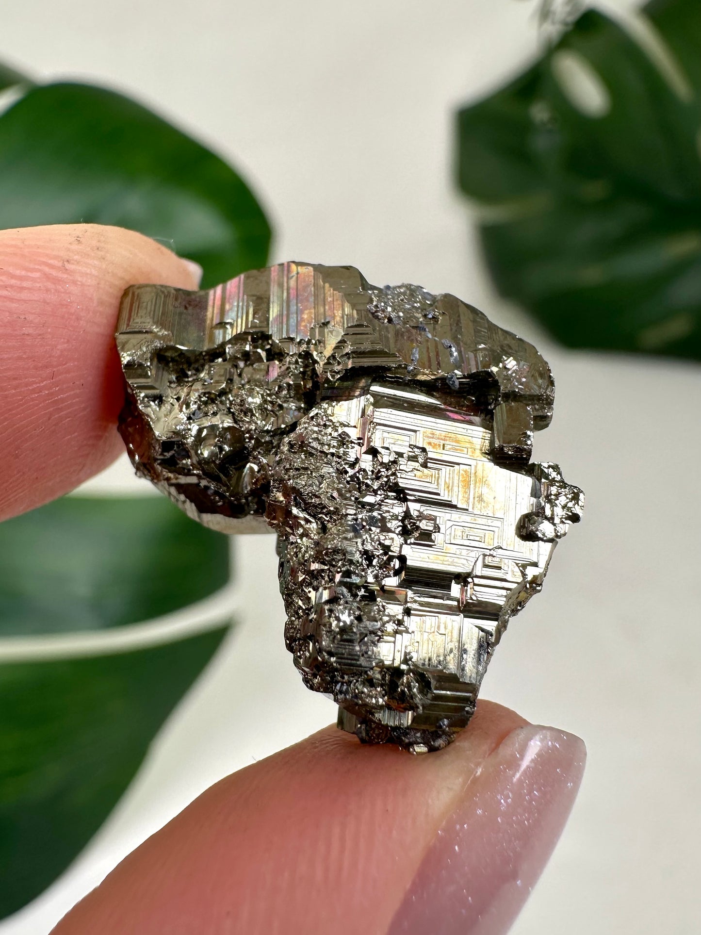 Iridescent Pyrite No. 12P3