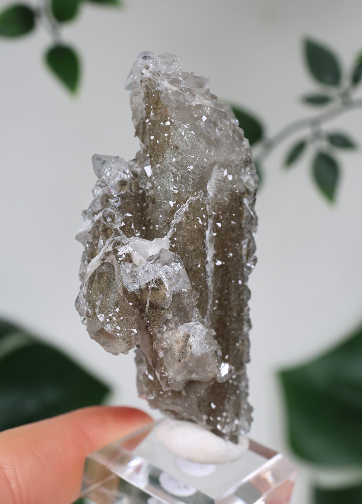 Apophyllit x Quarz x Chlorit Nr.129QA
