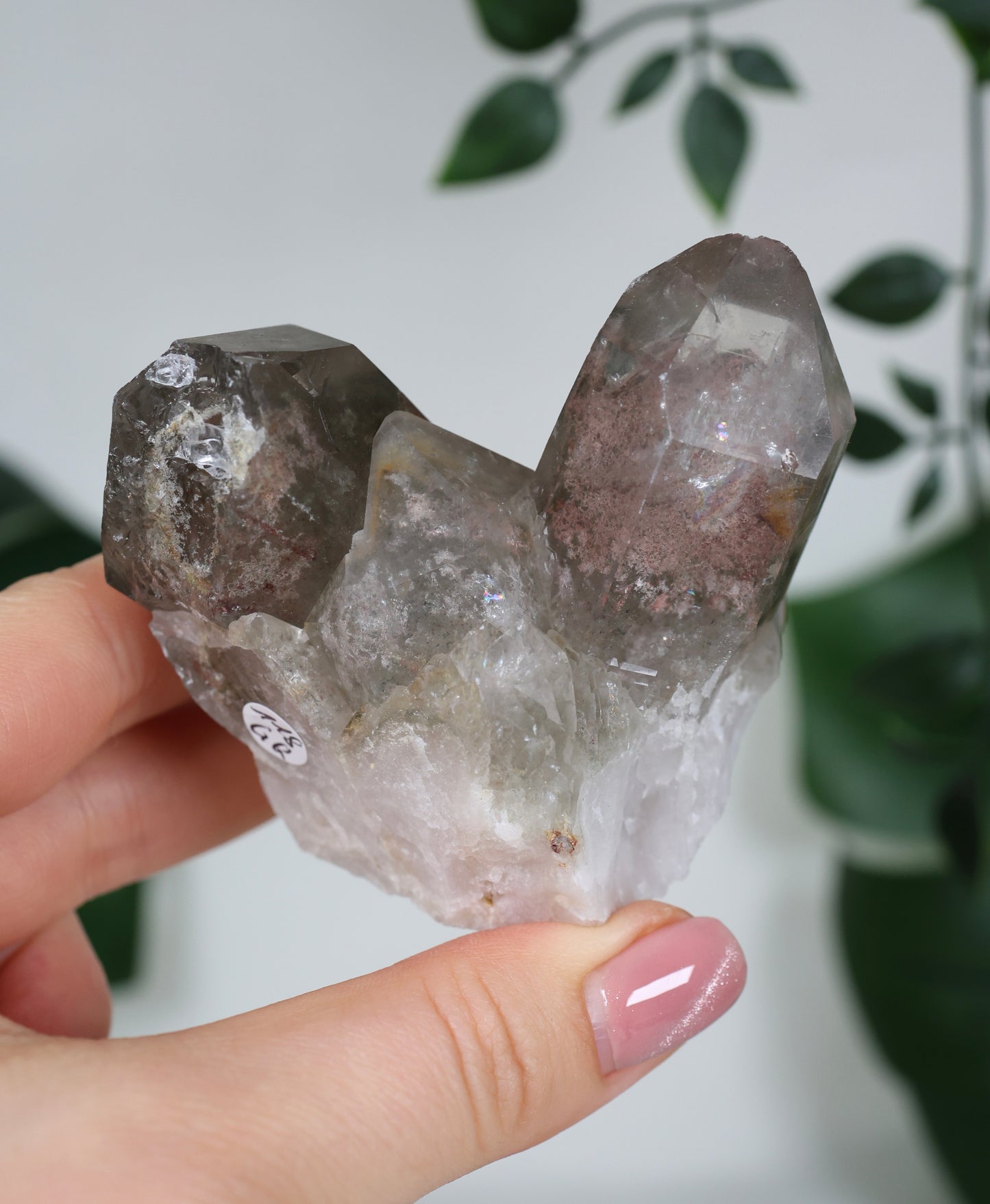 Gartenquarz x Rutil Cluster Nr.118GR