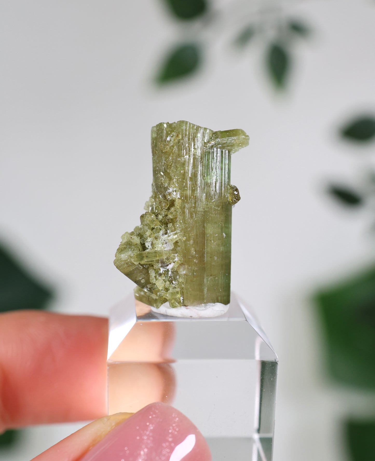 Grüner Turmalin XS - Auswahl