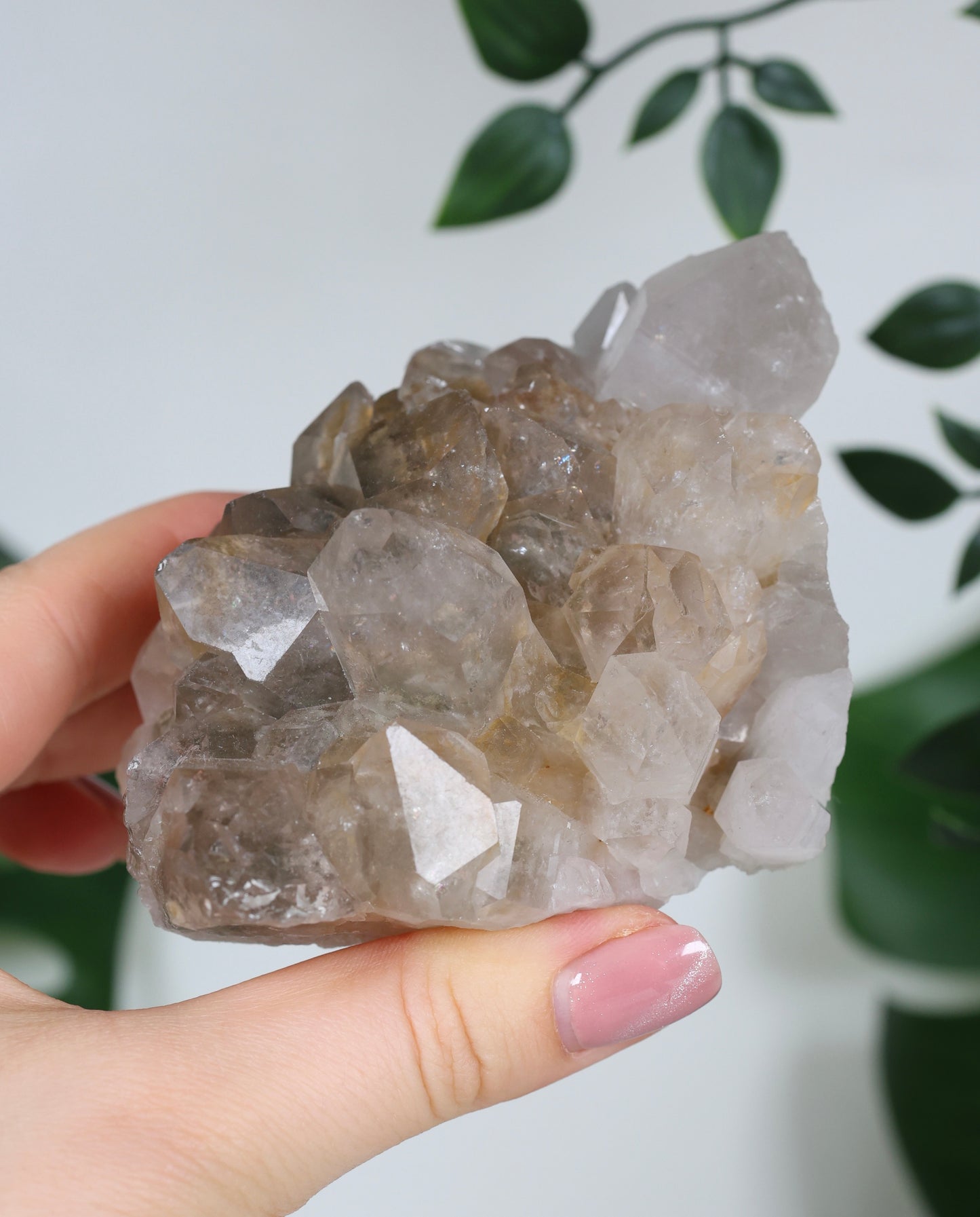 Gartenquarz Cluster Nr.168GQ