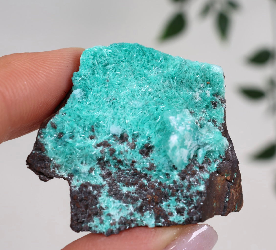 Aurichalcite Nr.32AU