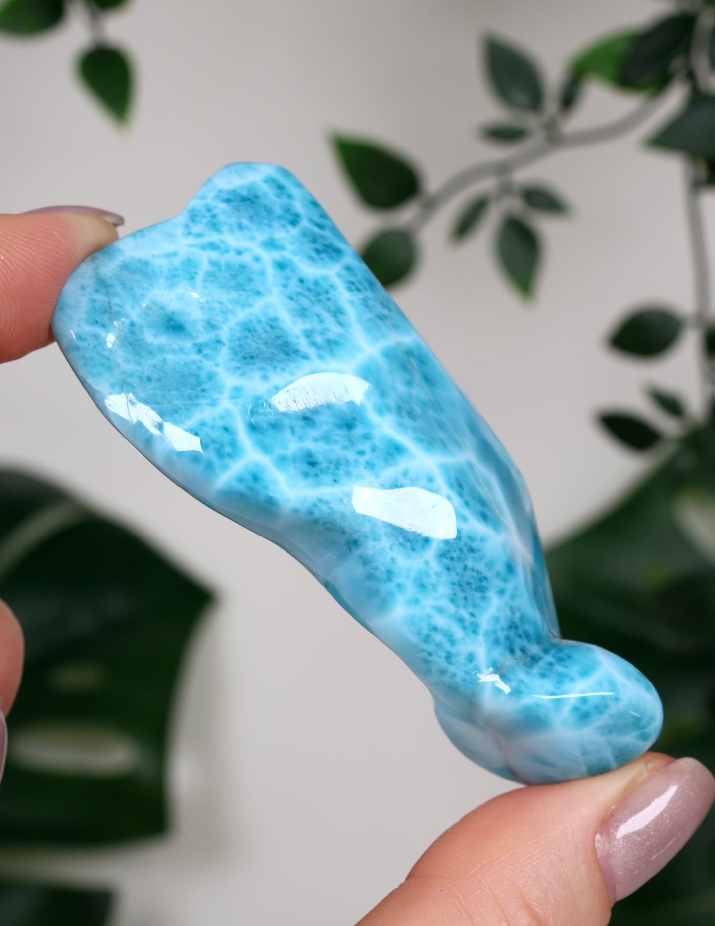 Larimar HQ Nr.499LA