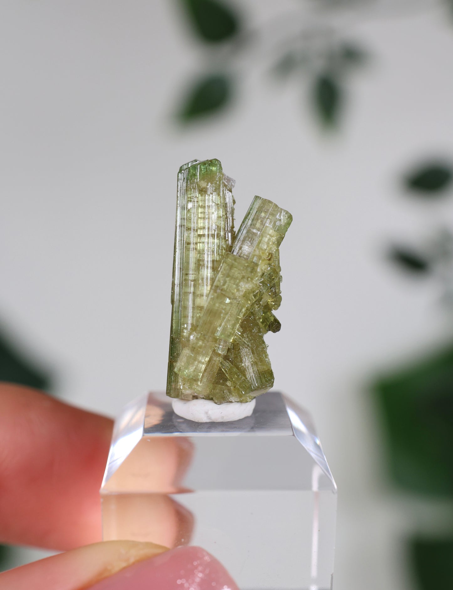 Grüner Turmalin S - Auswahl