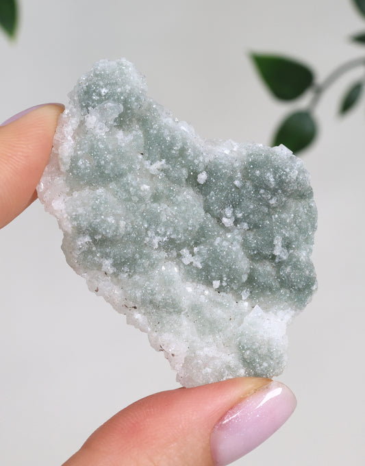 Grüner Apophyllit Crust Nr.26GC