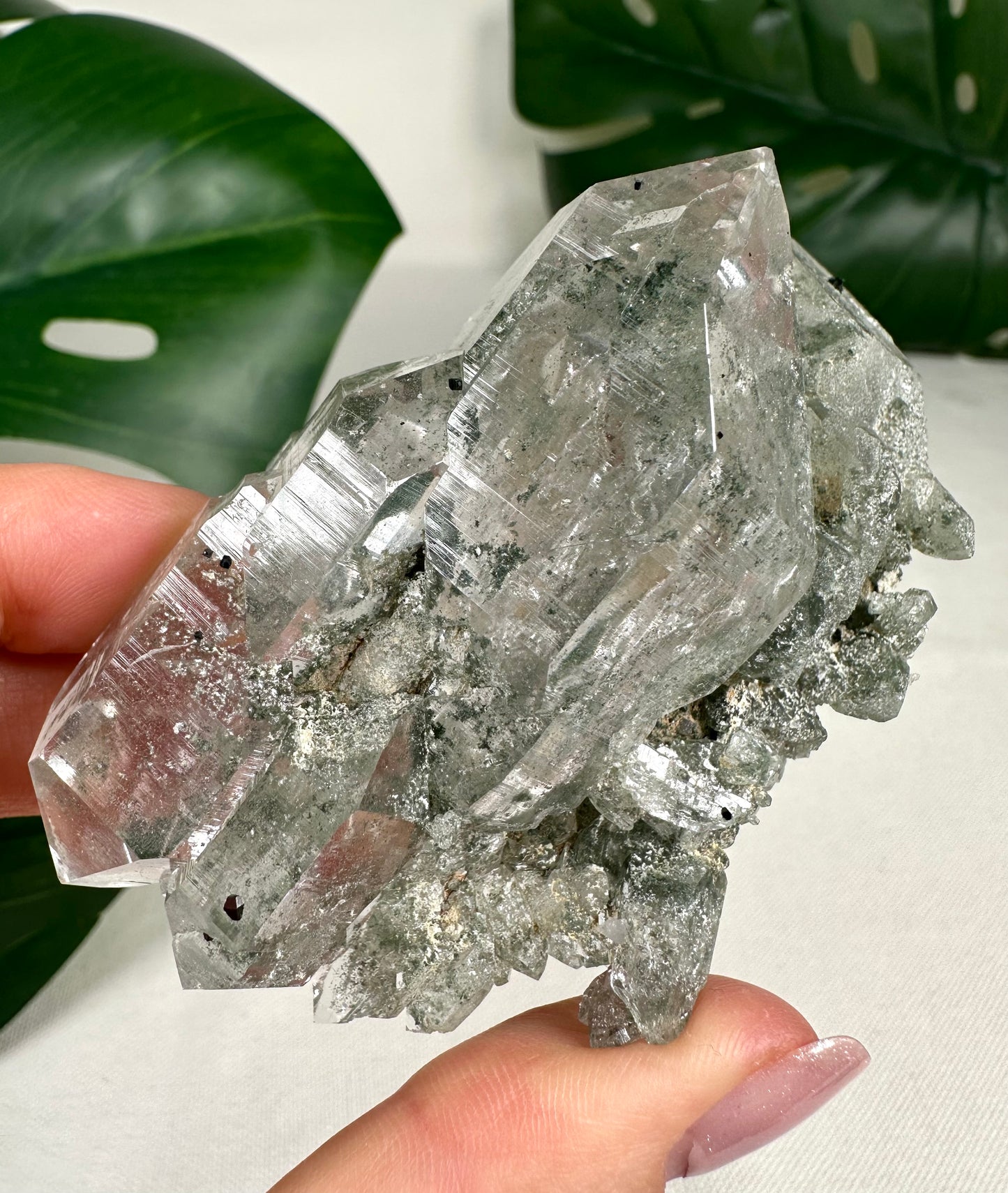 Himalaya Quarz 'Gwindel' mit Anatas & Chlorit Nr.835HG