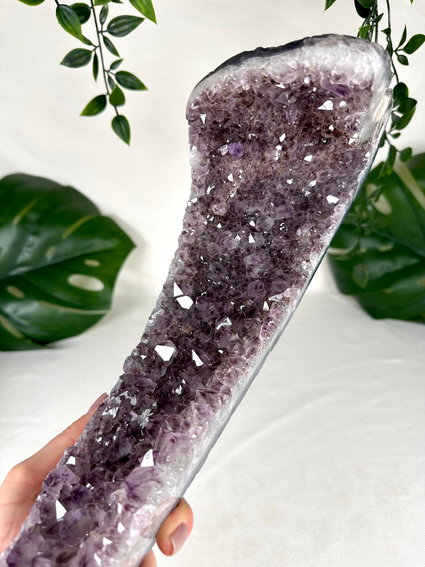 Amethyst Cluster XL Nr.370AC