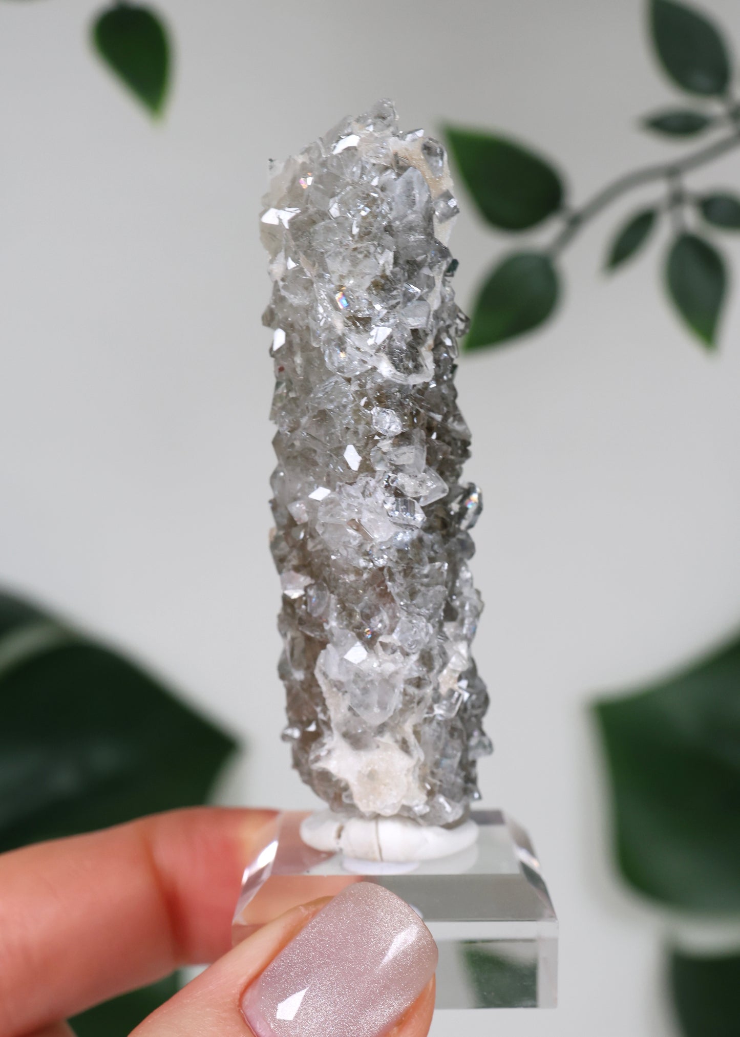 Apophyllit x Quarz x Chlorit Nr.110QA