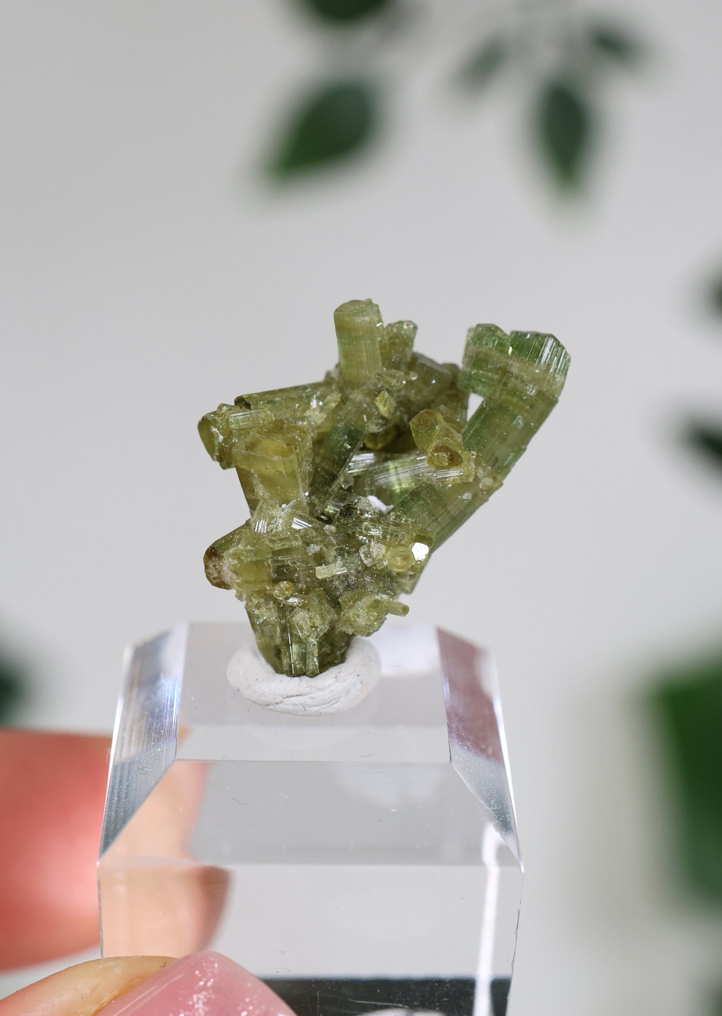 Grüner Turmalin S - Auswahl