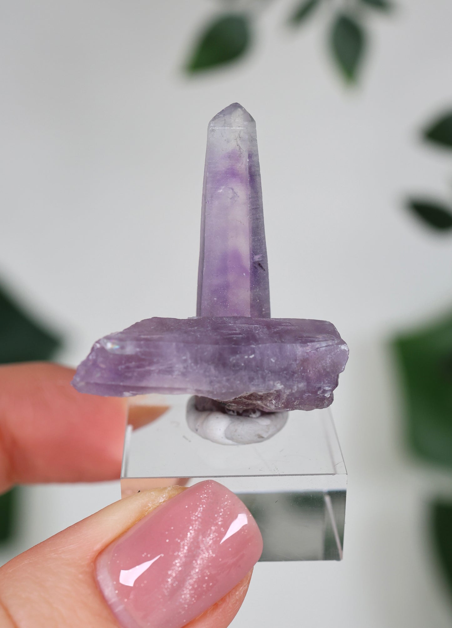 Guerrero Amethyst Oldstock XS - Auswahl