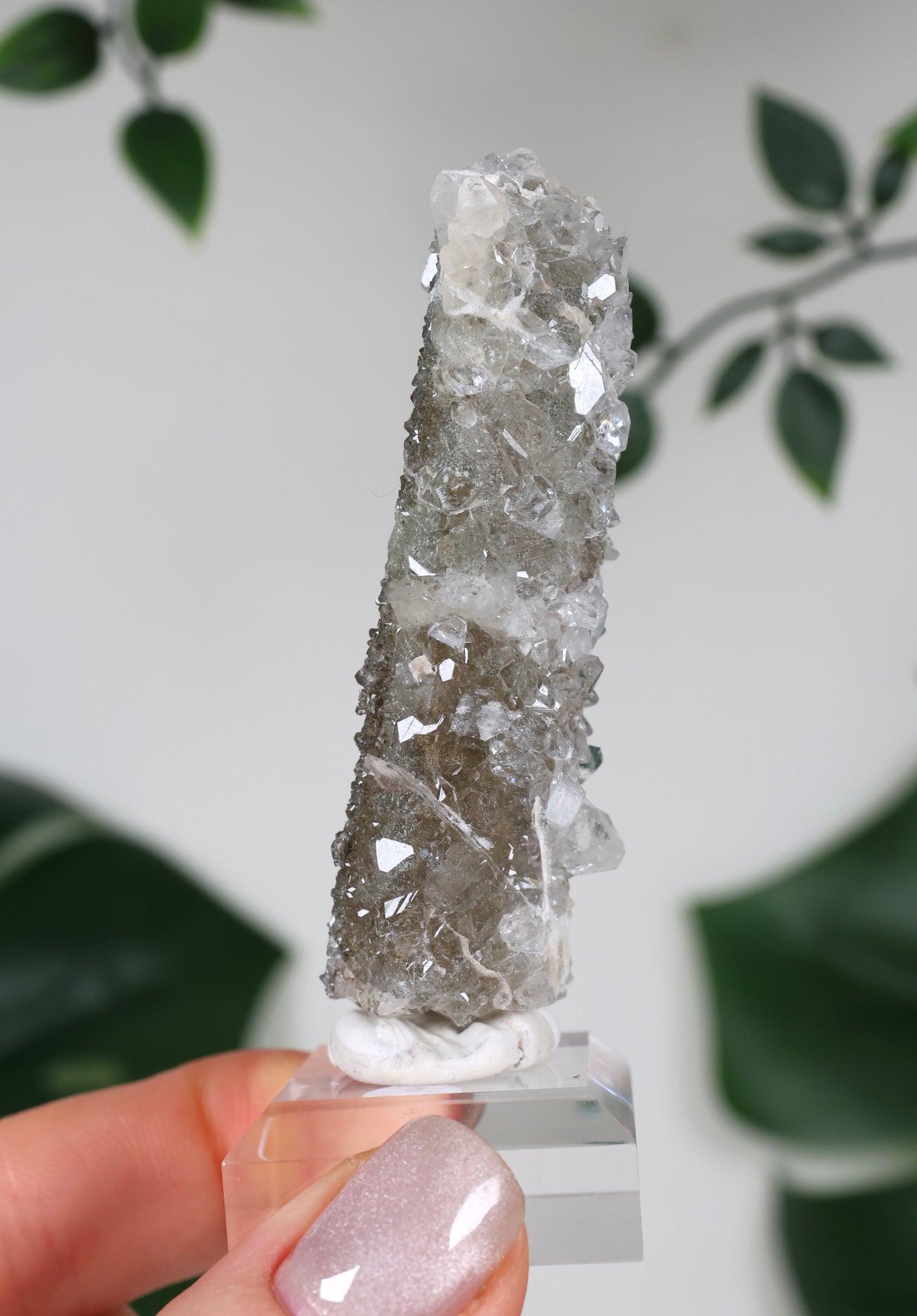 Apophyllit x Quarz x Chlorit Nr.110QA