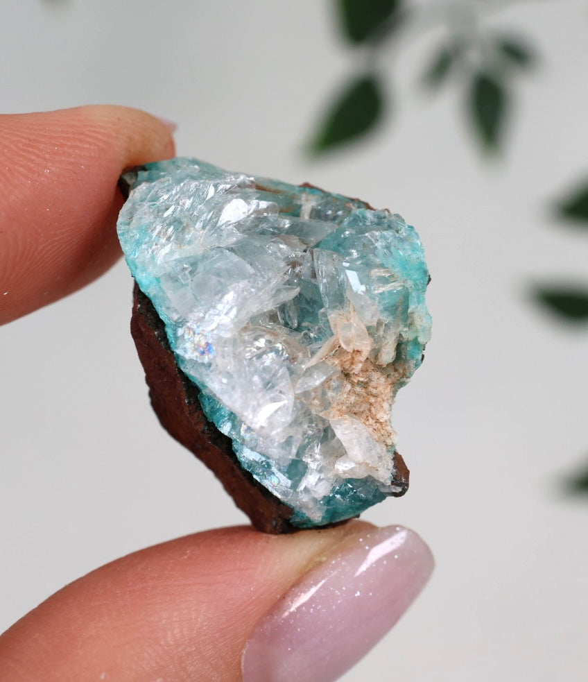 Aurichalcite - Auswahl