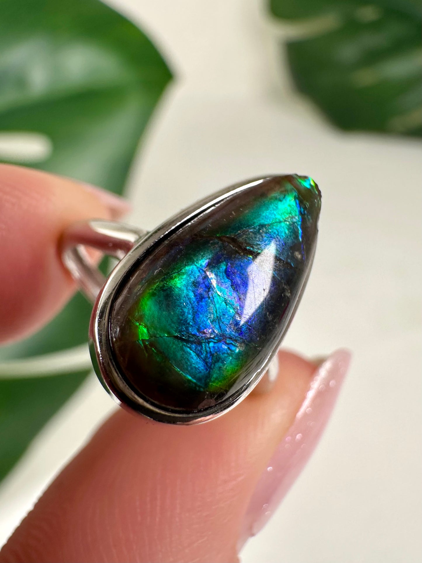 Ammolit Ring in 925 Silber Nr.110A1