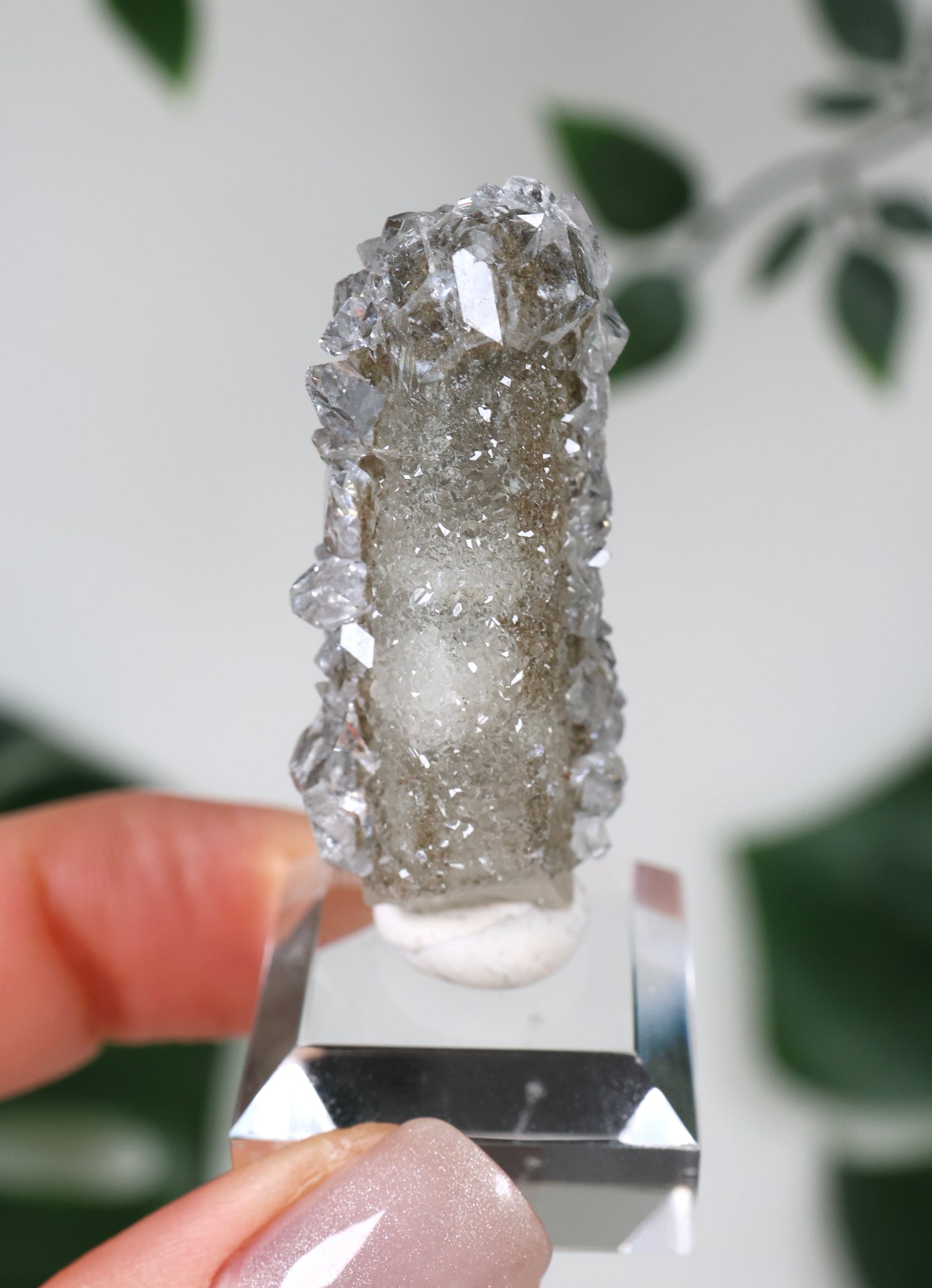 Apophyllit x Quarz x Chlorit Nr.57QA