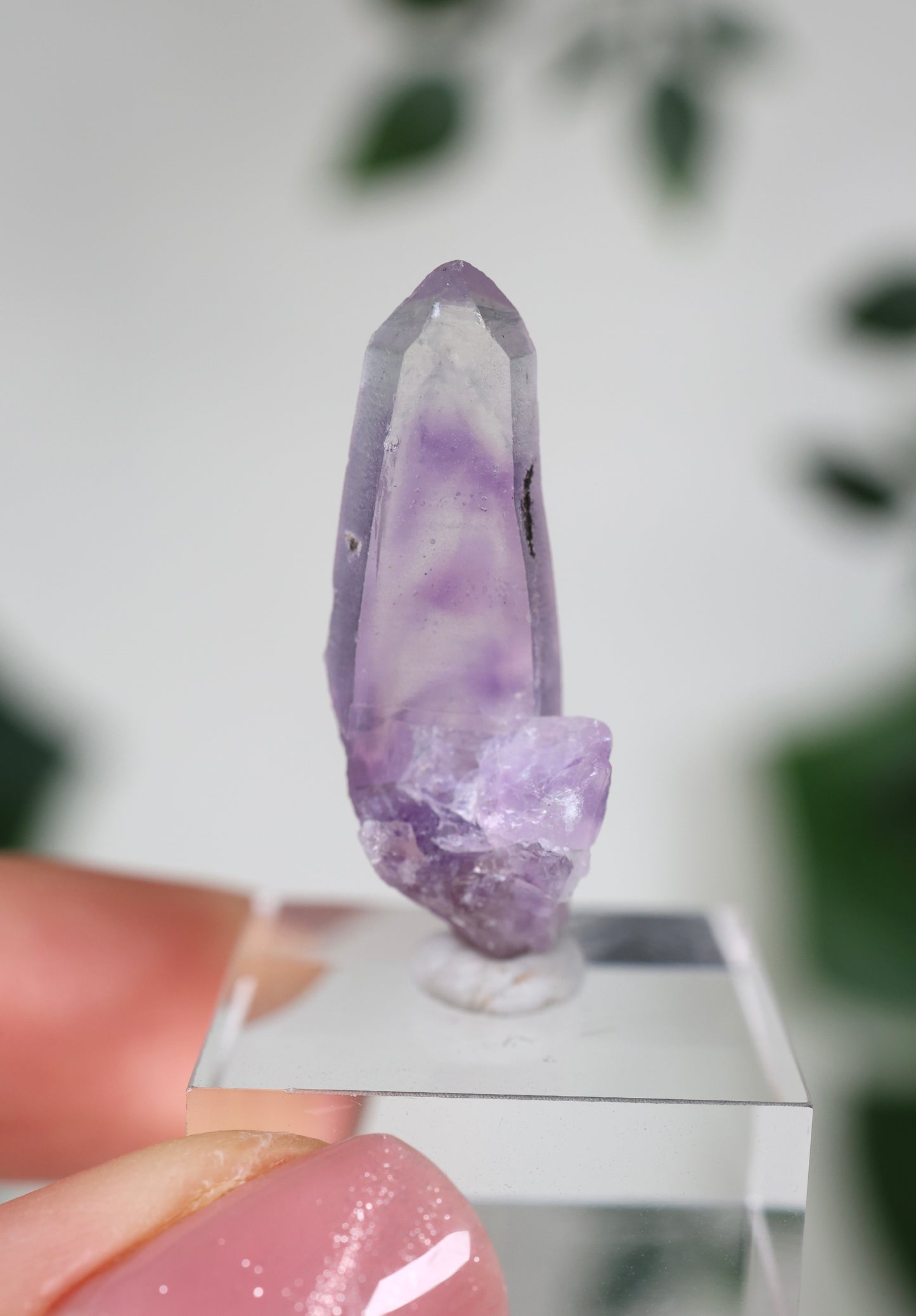 Guerrero Amethyst Oldstock S- Auswahl