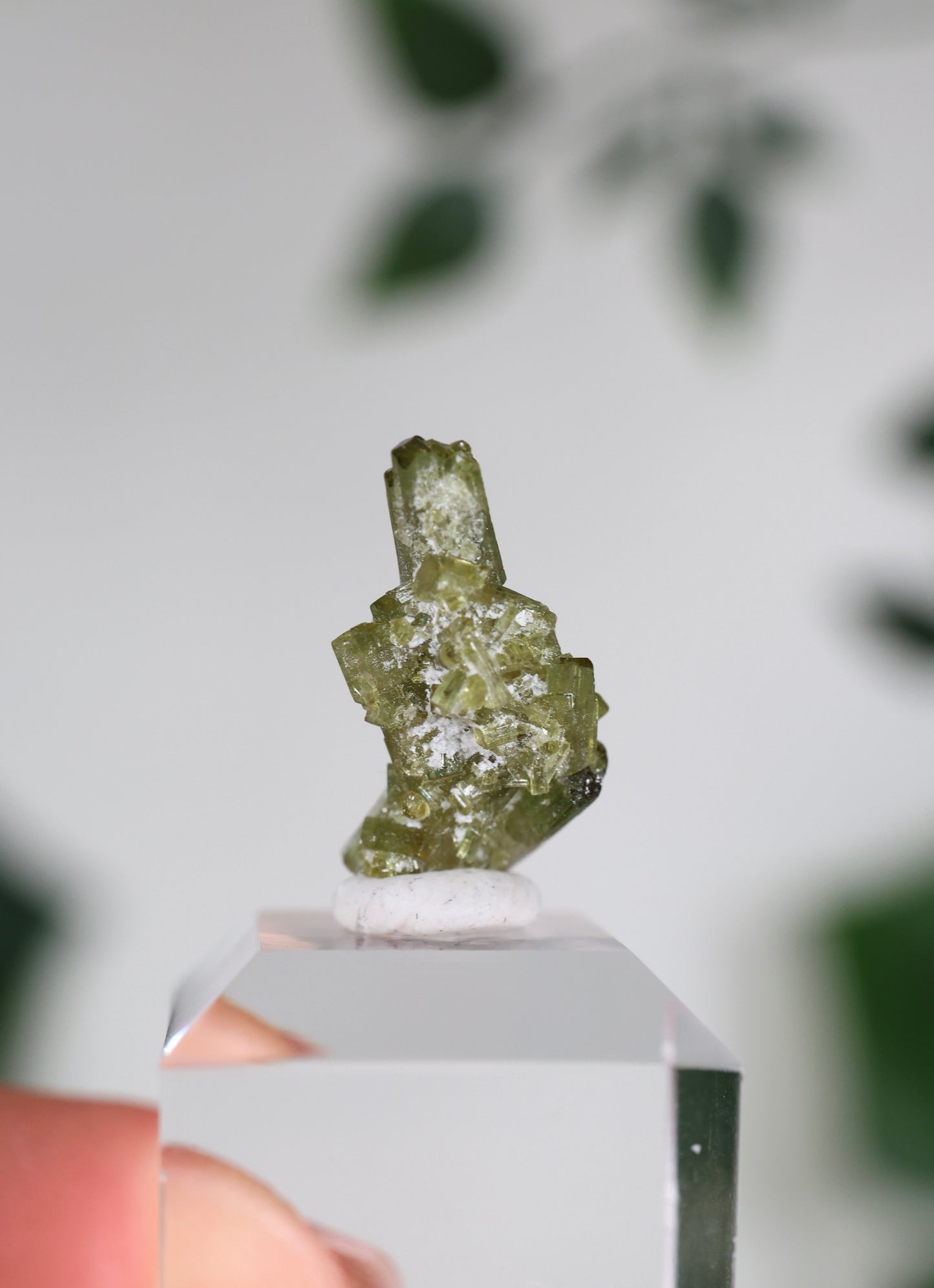 Grüner Turmalin XS - Auswahl