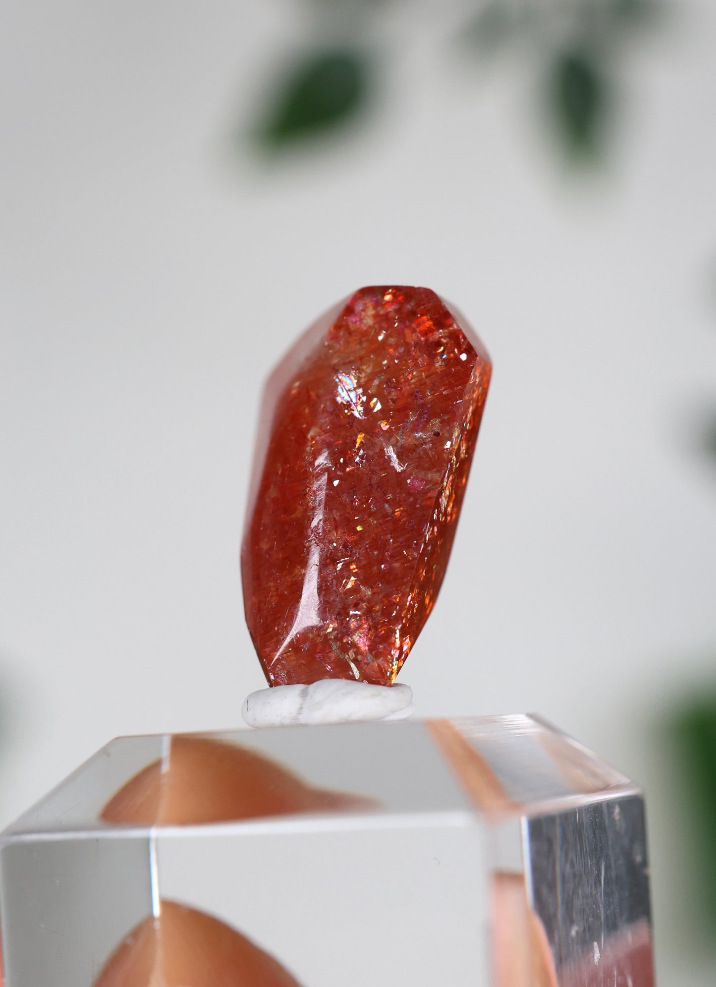 Sonnenstein in Quarz Nr.32ST