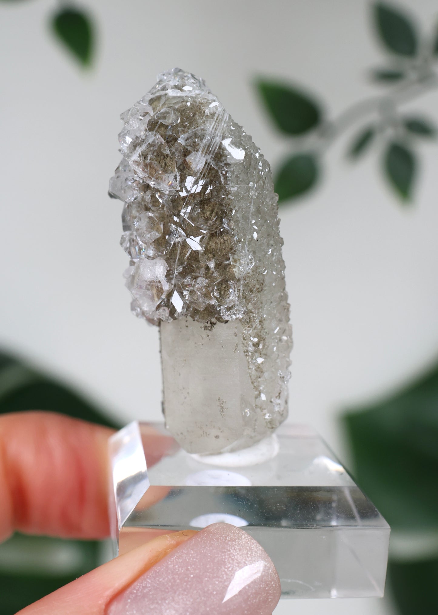 Apophyllit x Quarz x Chlorit Nr.67QA