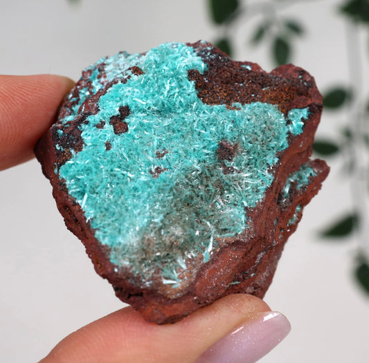 Aurichalcite Nr.30AC