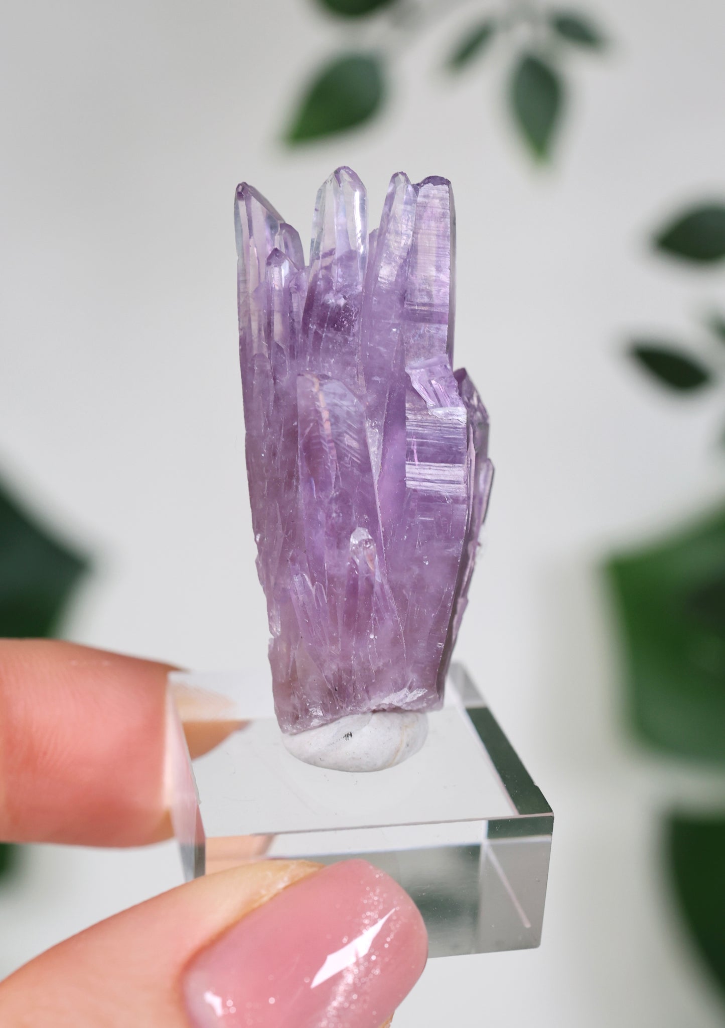 Guerrero Amethyst Nr.30G1