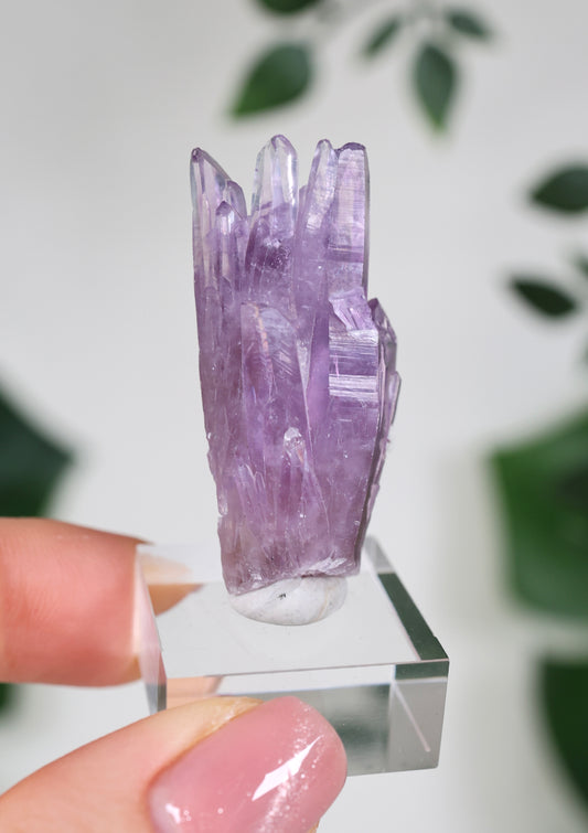 Guerrero Amethyst Nr.30G1