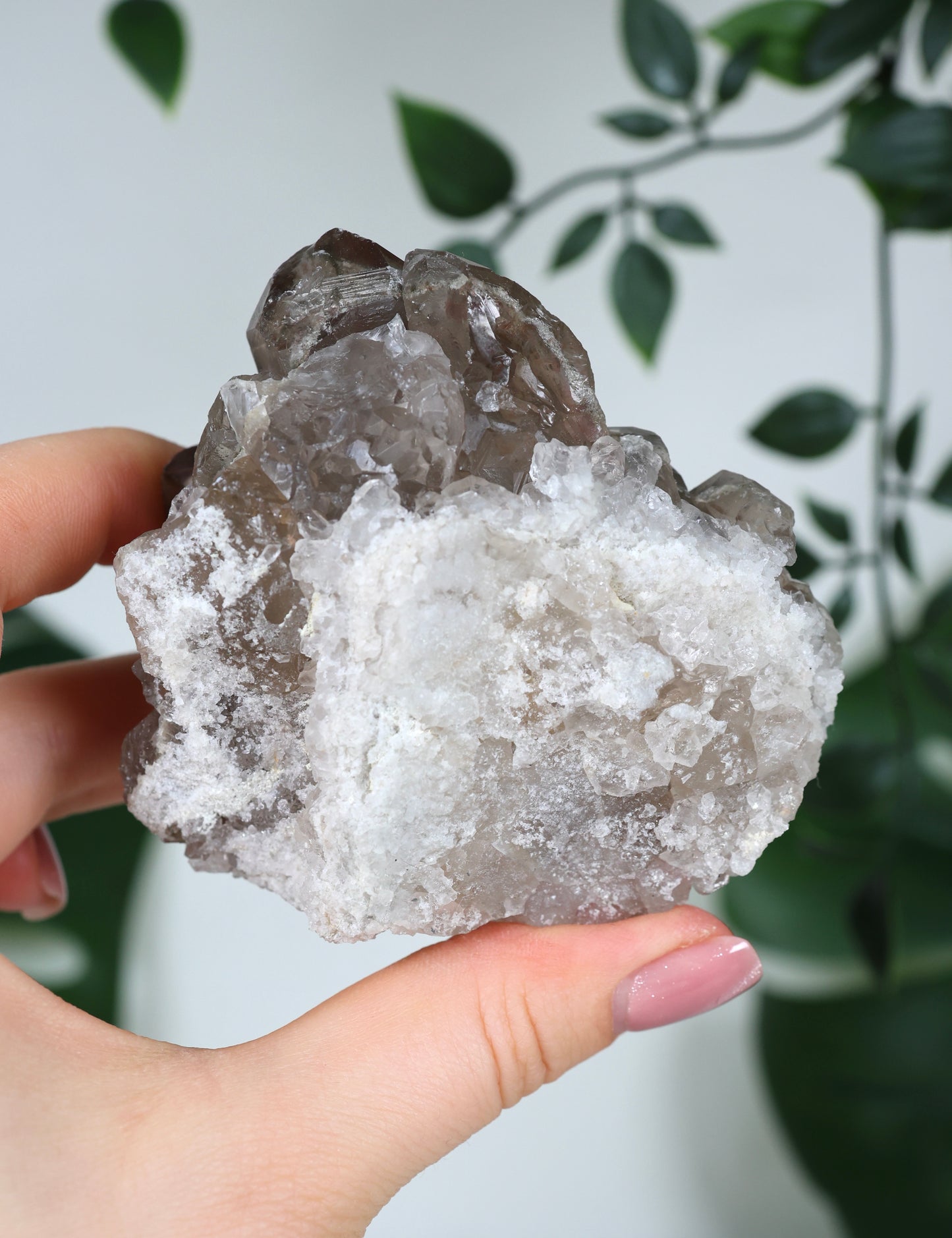 Gartenquarz x Rutil Cluster Nr.165GR