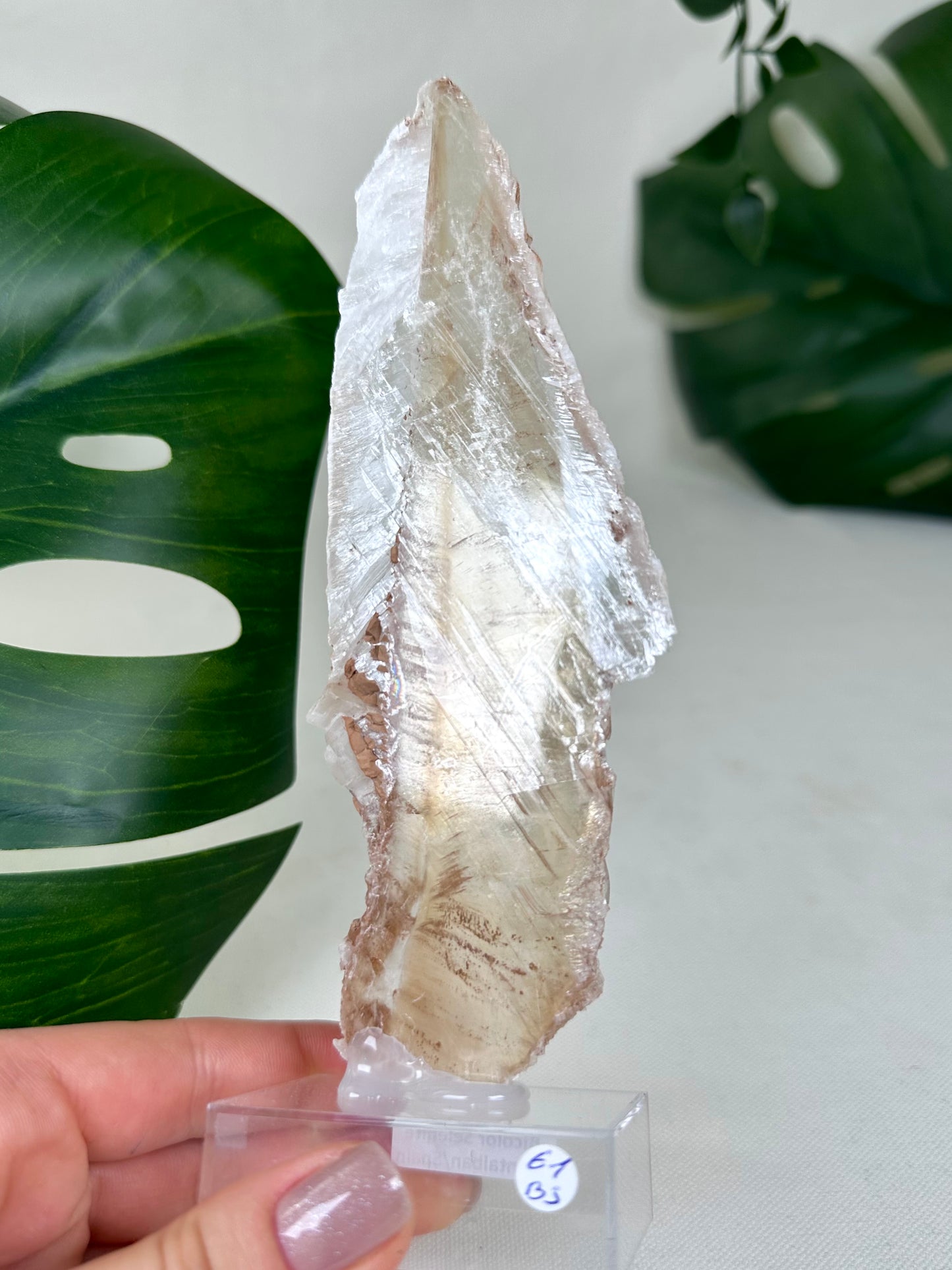 Bicolor Selenite No. 61BS