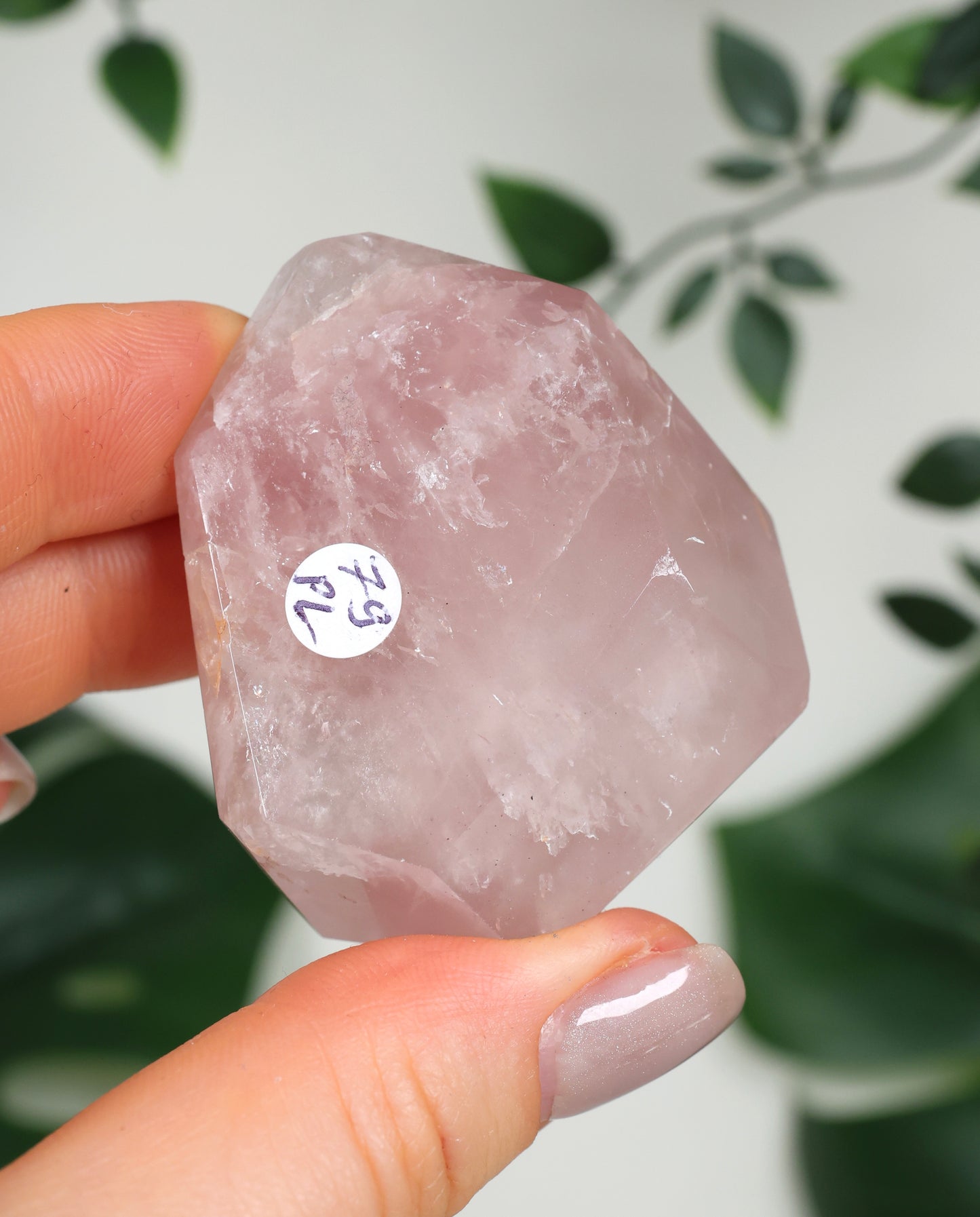 Pink Lithium Quarz Nr.79PL