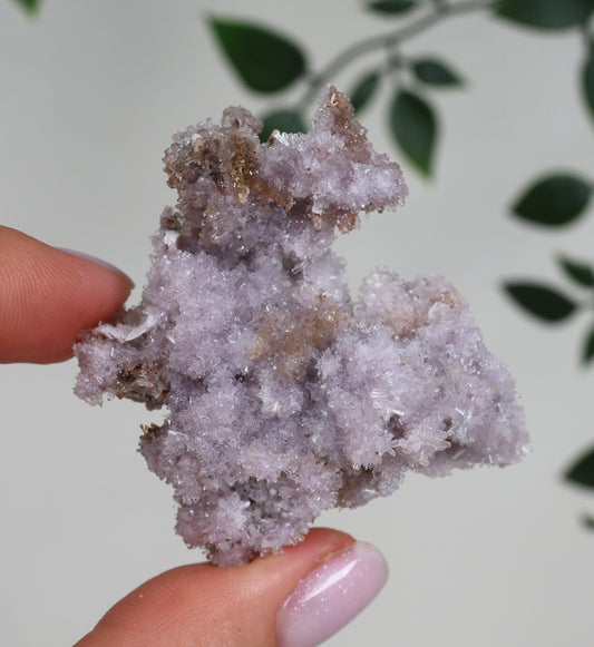 Lilaner Creedite Nr.109LC