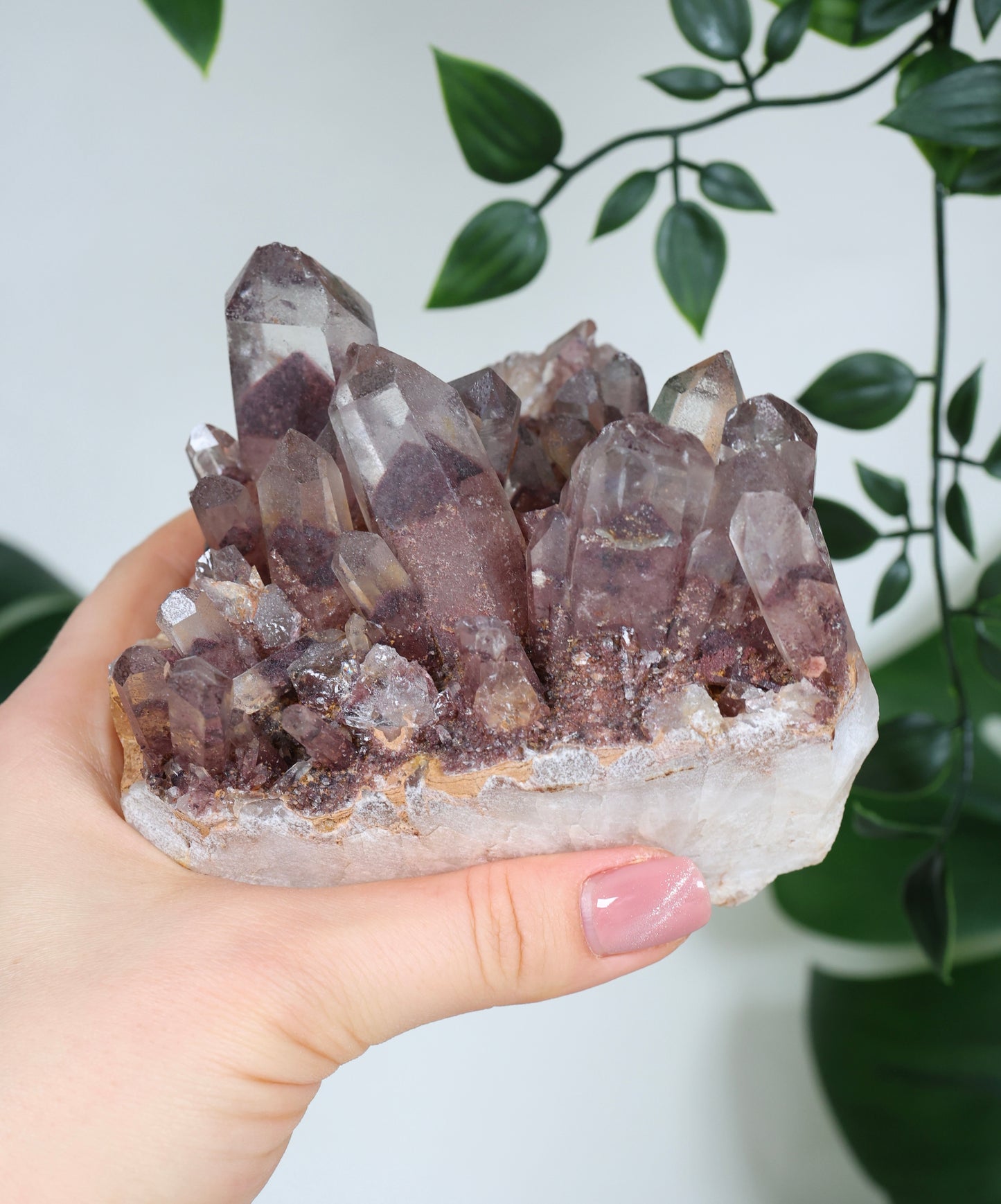 Sunset Quarz Nr.298SQ