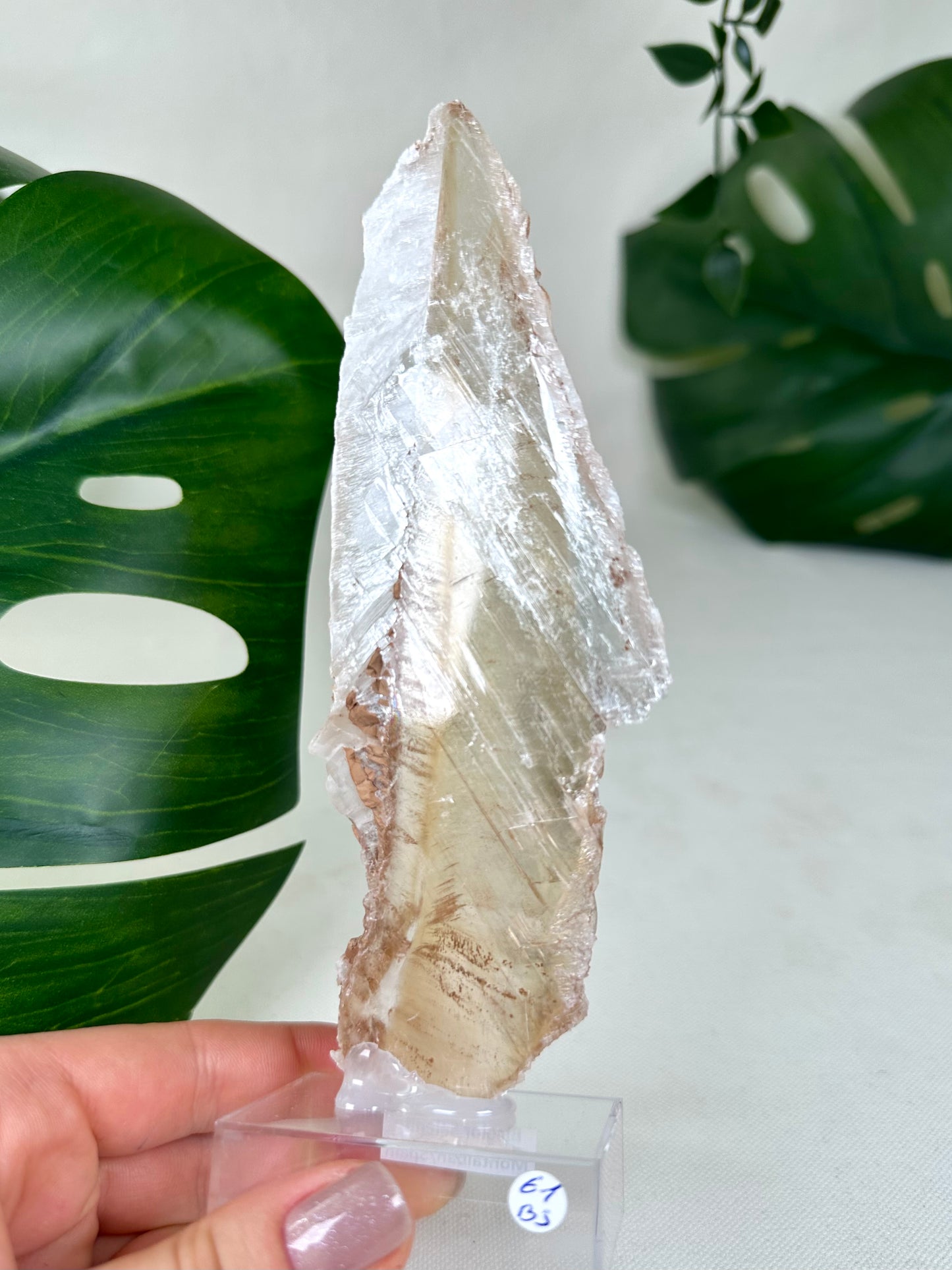 Bicolor Selenite No. 61BS